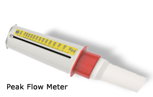 Peak flow meter